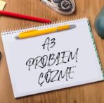 A3 Problem Çözme Tekniği Eğitimi